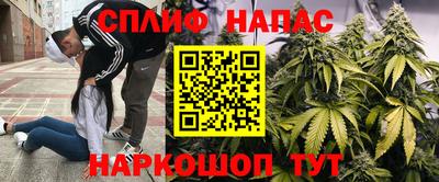 каннабис Кунгур