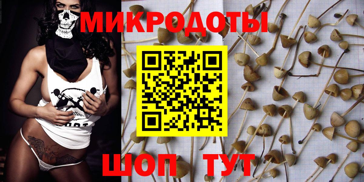 Псилоцибиновые грибы мухоморы  наркота  Южно-Сахалинск  Вход с VPN  Галлюциногенные грибы GOLDEN TEACHER 