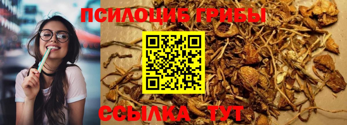 Псилоцибиновые грибы GOLDEN TEACHER Южно-Сахалинск